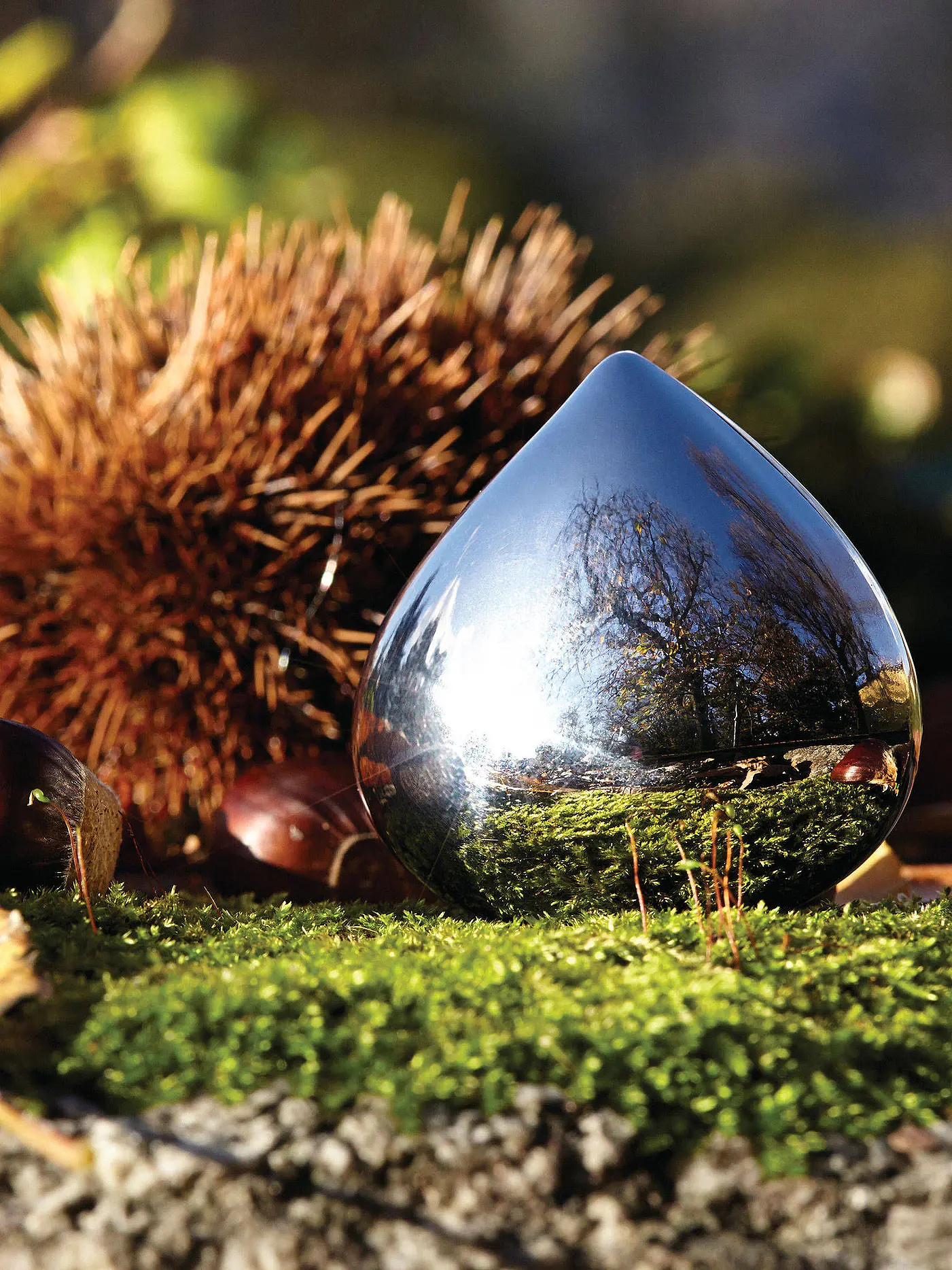 ALESSI | Pillendose Chestnut Edelstahl | 